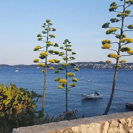 Tri Masline With Seaview Apartman