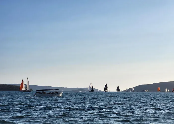 Tri Masline With Seaview